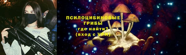 твердый Аркадак
