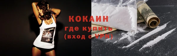 твердый Аркадак