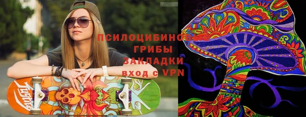 ПСИЛОЦИБИНОВЫЕ ГРИБЫ Армянск