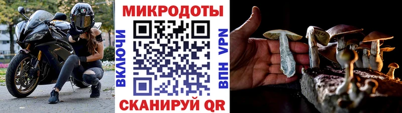 Псилоцибиновые грибы Magic Shrooms  продажа наркотиков  Семикаракорск 